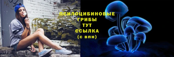 МДПВ Гусев