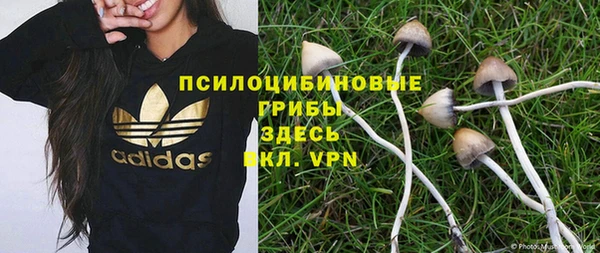 COCAINE Гусиноозёрск