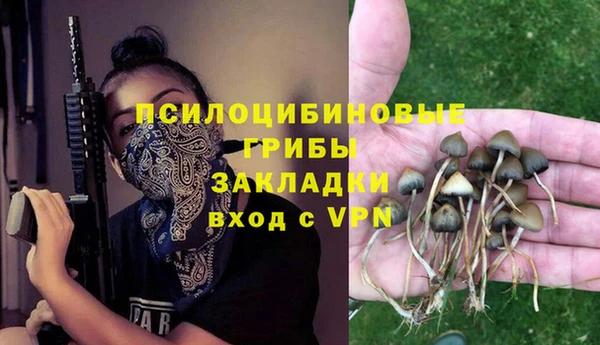 крисы Гусь-Хрустальный