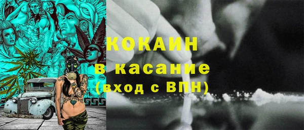 МДПВ Гусев